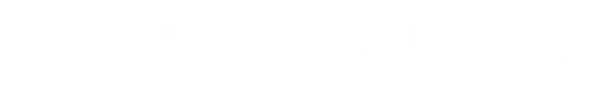 annie-logo-white